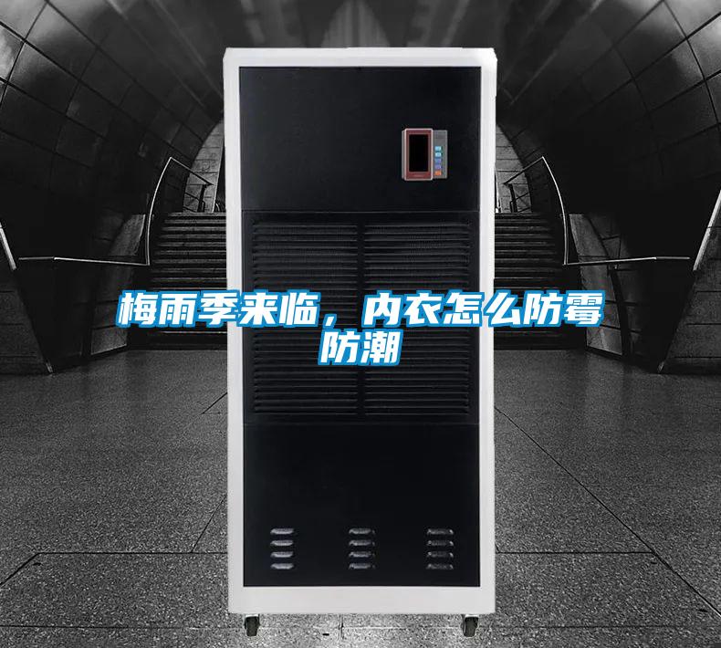 梅雨季來臨，內衣怎么防霉防潮