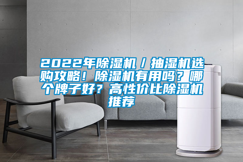 2022年除濕機(jī)／抽濕機(jī)選購(gòu)攻略！除濕機(jī)有用嗎？哪個(gè)牌子好？高性價(jià)比除濕機(jī)推薦
