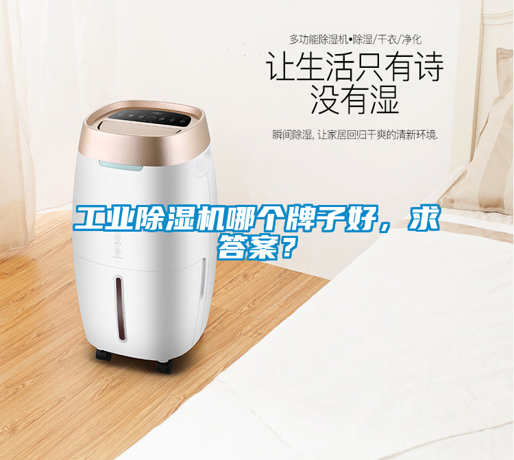 工業(yè)除濕機(jī)哪個牌子好，求答案？