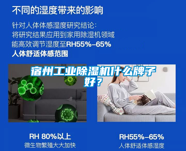 宿州工業(yè)除濕機(jī)什么牌子好？