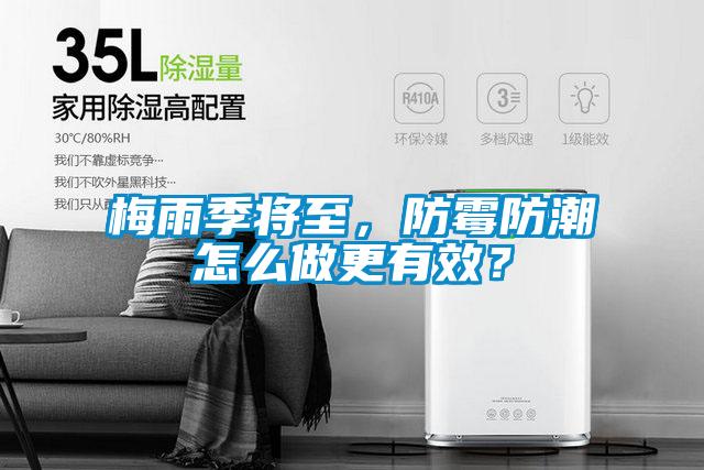 梅雨季將至，防霉防潮怎么做更有效？