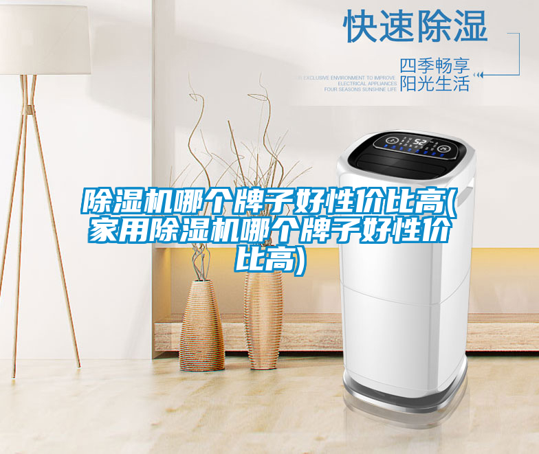 除濕機(jī)哪個(gè)牌子好性?xún)r(jià)比高(家用除濕機(jī)哪個(gè)牌子好性?xún)r(jià)比高)