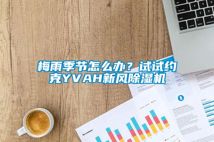 梅雨季節(jié)怎么辦？試試約克YVAH新風(fēng)除濕機