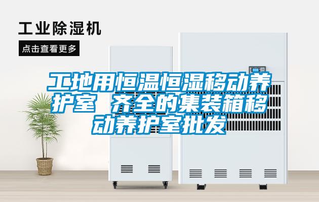 工地用恒溫恒濕移動養(yǎng)護(hù)室 齊全的集裝箱移動養(yǎng)護(hù)室批發(fā)
