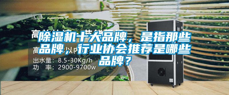 除濕機(jī)十大品牌，是指那些品牌，行業(yè)協(xié)會推薦是哪些品牌？