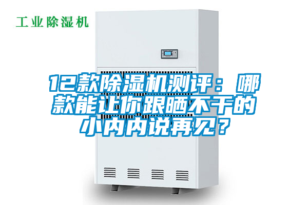 12款除濕機測評：哪款能讓你跟曬不干的小內內說再見？
