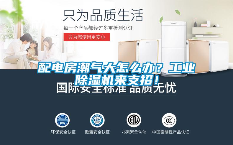 配電房潮氣大怎么辦？工業除濕機來支招！