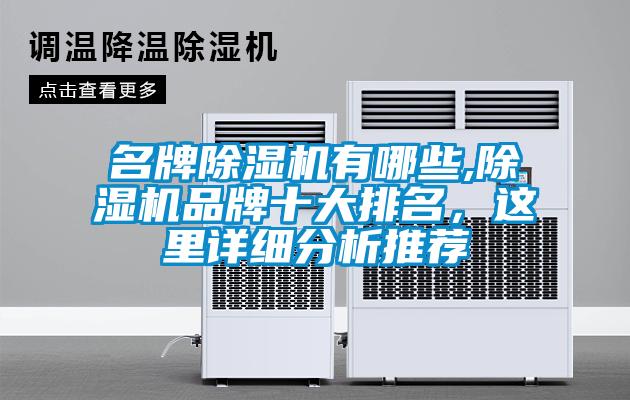 名牌除濕機有哪些,除濕機品牌十大排名，這里詳細分析推薦