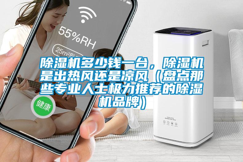 除濕機(jī)多少錢一臺(tái)，除濕機(jī)是出熱風(fēng)還是涼風(fēng)（盤點(diǎn)那些專業(yè)人士極力推薦的除濕機(jī)品牌）
