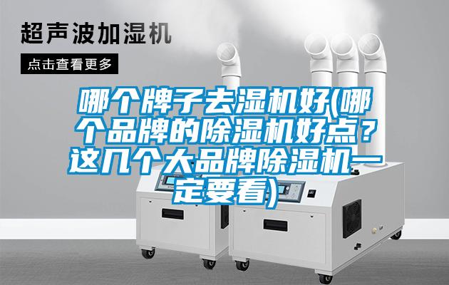 哪個(gè)牌子去濕機(jī)好(哪個(gè)品牌的除濕機(jī)好點(diǎn)？這幾個(gè)大品牌除濕機(jī)一定要看)