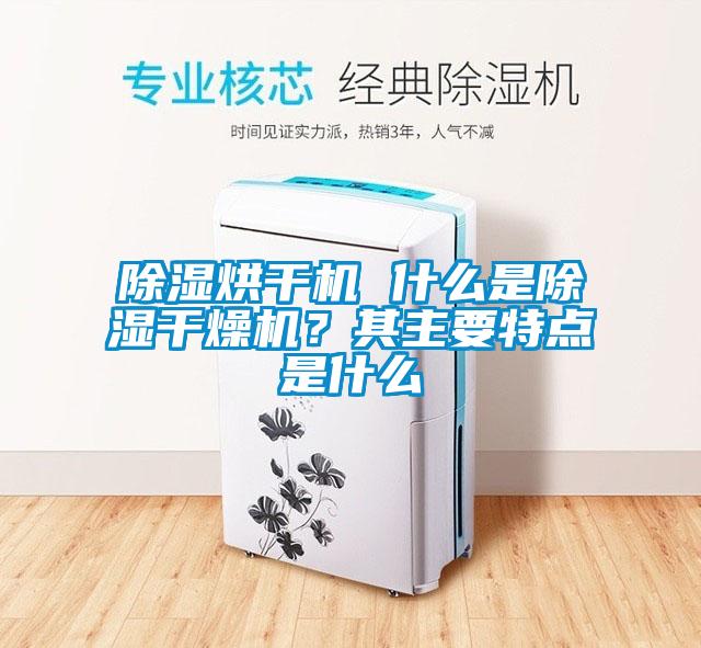 除濕烘干機(jī) 什么是除濕干燥機(jī)？其主要特點(diǎn)是什么