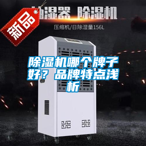 除濕機哪個牌子好？品牌特點淺析