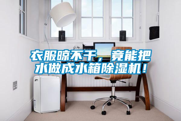 衣服晾不干，竟能把水做成水箱除濕機！