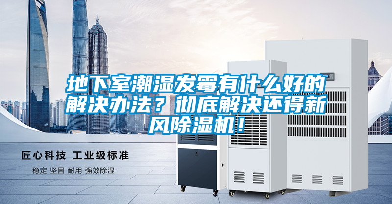 地下室潮濕發霉有什么好的解決辦法？徹底解決還得新風除濕機！