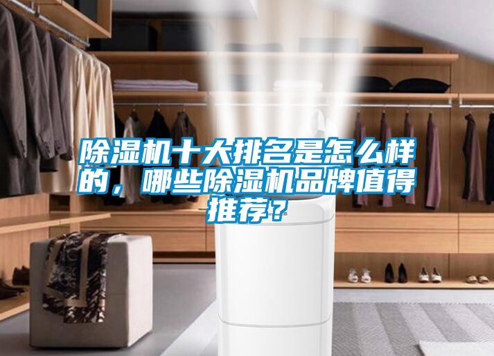 除濕機十大排名是怎么樣的，哪些除濕機品牌值得推薦？