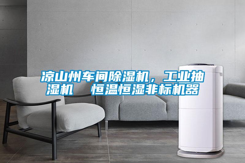 涼山州車間除濕機，工業(yè)抽濕機  恒溫恒濕非標機器