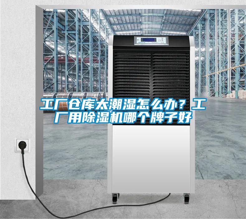 工廠倉庫太潮濕怎么辦？工廠用除濕機哪個牌子好