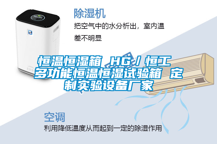 恒溫恒濕箱 HG／恒工 多功能恒溫恒濕試驗(yàn)箱 定制實(shí)驗(yàn)設(shè)備廠(chǎng)家
