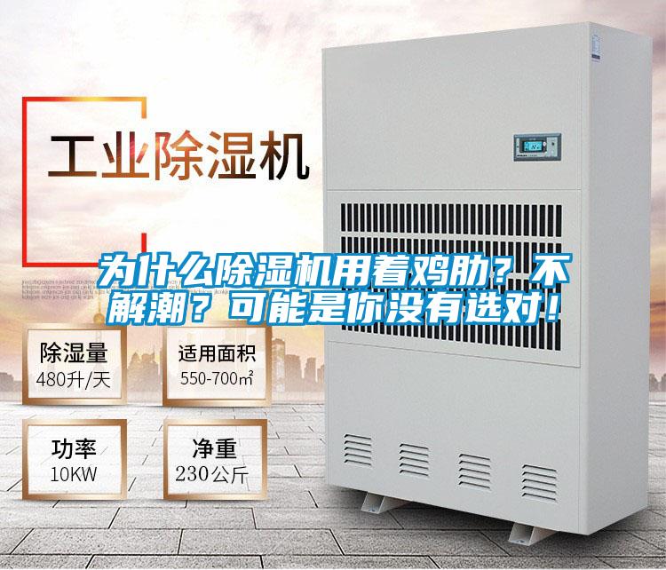 為什么除濕機用著雞肋？不解潮？可能是你沒有選對！
