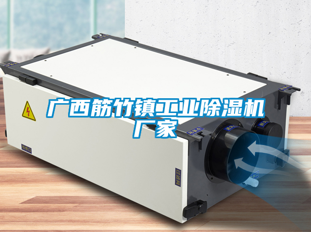 廣西筋竹鎮(zhèn)工業(yè)除濕機廠家