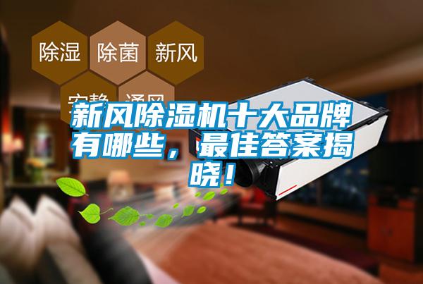 新風除濕機十大品牌有哪些，最佳答案揭曉！