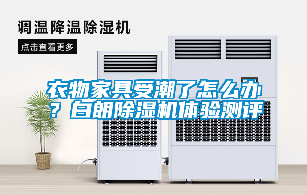 衣物家具受潮了怎么辦？白朗除濕機體驗測評