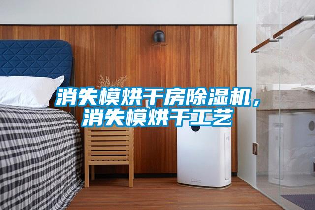 消失模烘干房除濕機(jī)，消失模烘干工藝