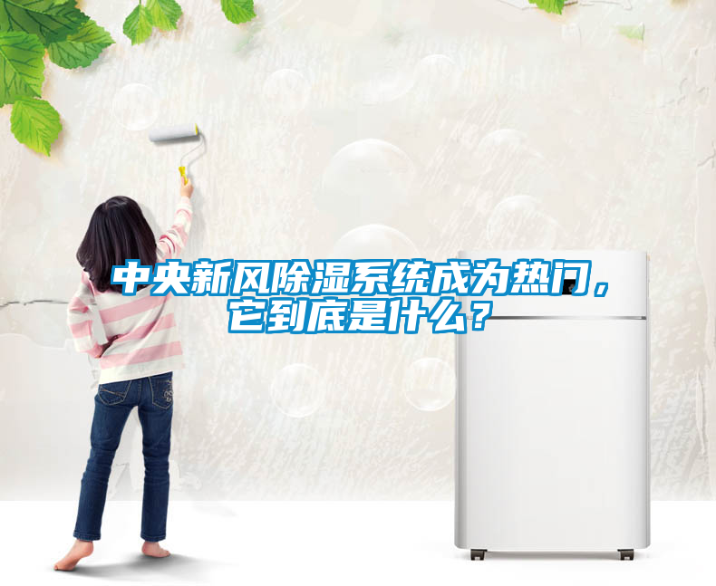 中央新風(fēng)除濕系統(tǒng)成為熱門，它到底是什么？