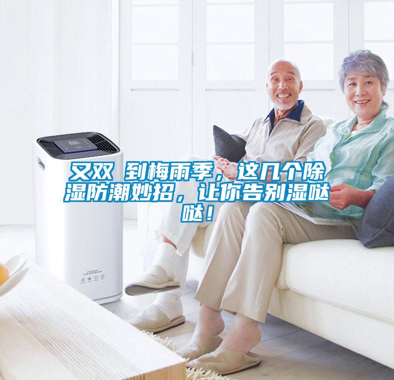 又雙叒到梅雨季，這幾個除濕防潮妙招，讓你告別濕噠噠！