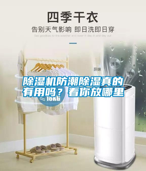 除濕機防潮除濕真的有用嗎？看你放哪里