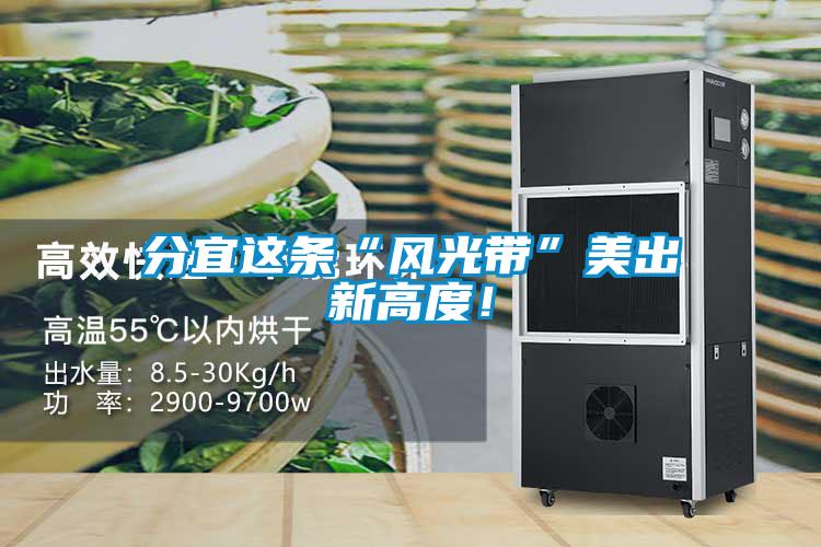 分宜這條“風光帶”美出新高度！
