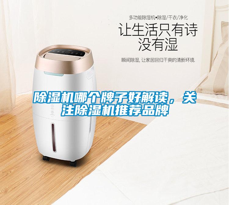 除濕機哪個牌子好解讀，關注除濕機推薦品牌