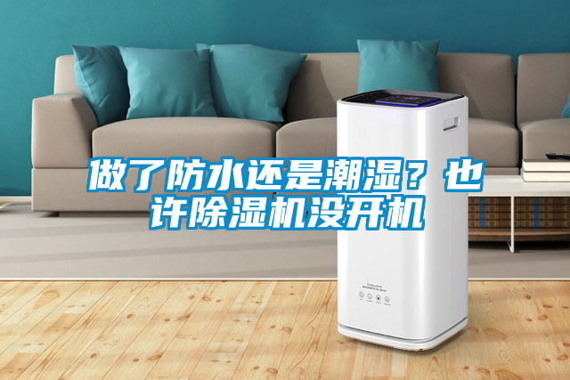 做了防水還是潮濕？也許除濕機沒開機