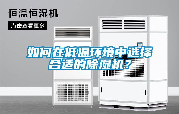 如何在低溫環(huán)境中選擇合適的除濕機(jī)？