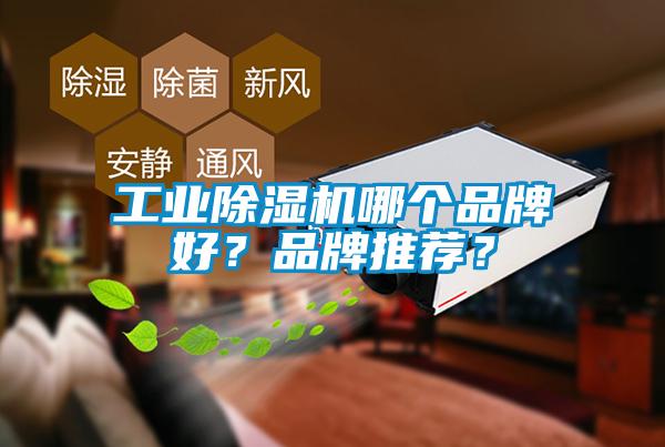 工業除濕機哪個品牌好？品牌推薦？