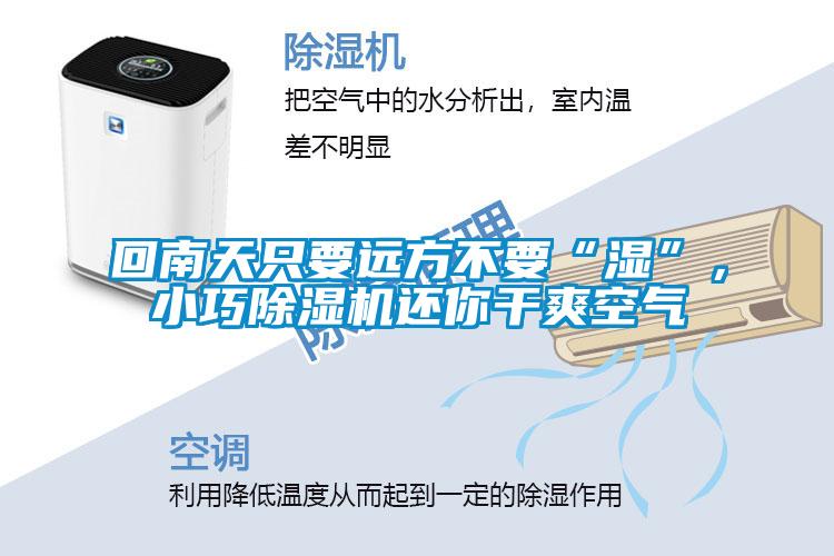 回南天只要遠方不要“濕”，小巧除濕機還你干爽空氣