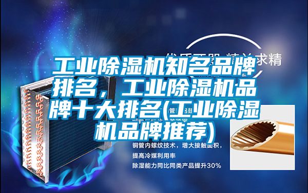 工業(yè)除濕機(jī)知名品牌排名，工業(yè)除濕機(jī)品牌十大排名(工業(yè)除濕機(jī)品牌推薦)