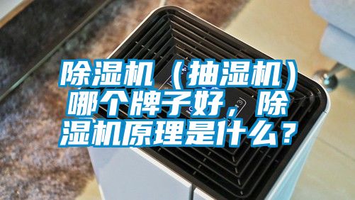 除濕機（抽濕機）哪個牌子好，除濕機原理是什么？