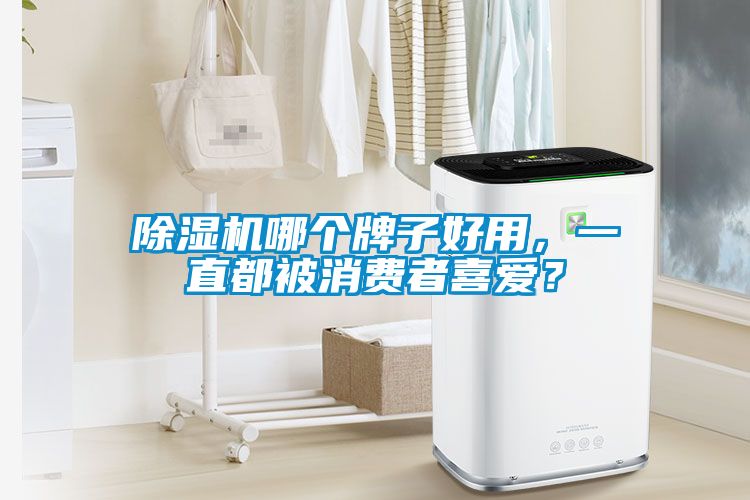 除濕機哪個牌子好用，一直都被消費者喜愛？
