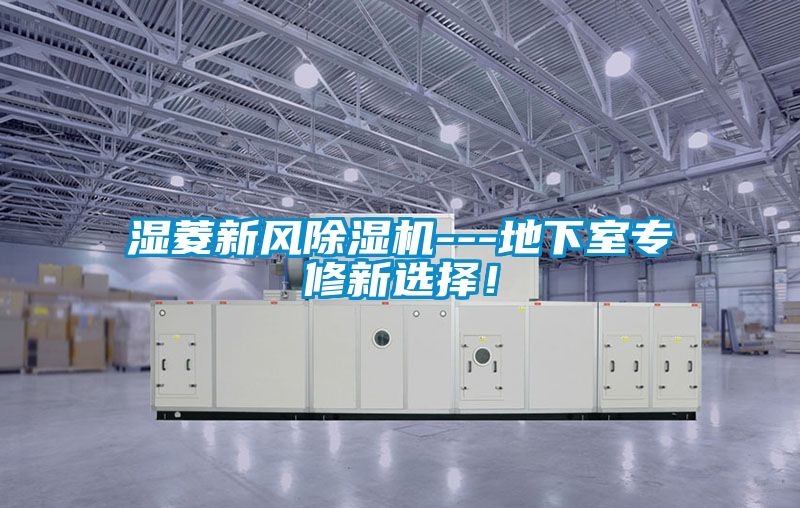 濕菱新風除濕機---地下室專修新選擇！