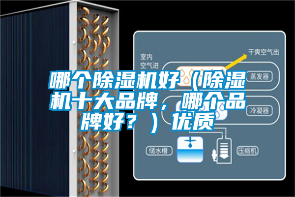 哪個除濕機好（除濕機十大品牌，哪個品牌好？）優質