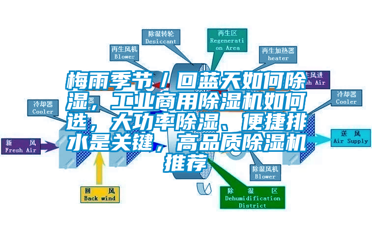 梅雨季節／回藍天如何除濕，工業商用除濕機如何選，大功率除濕、便捷排水是關鍵，高品質除濕機推薦