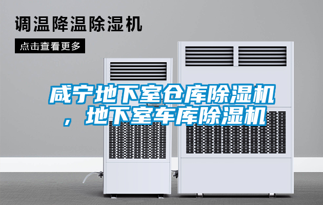 咸寧地下室倉(cāng)庫(kù)除濕機(jī)，地下室車(chē)庫(kù)除濕機(jī)