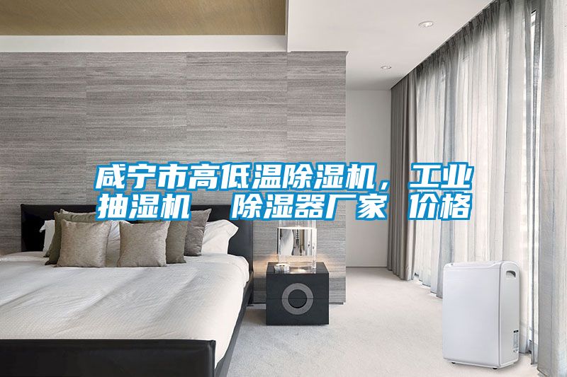 咸寧市高低溫除濕機，工業抽濕機  除濕器廠家 價格
