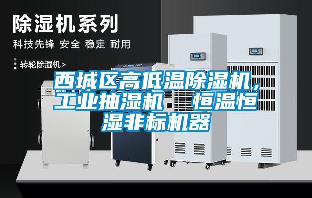 西城區(qū)高低溫除濕機，工業(yè)抽濕機  恒溫恒濕非標機器