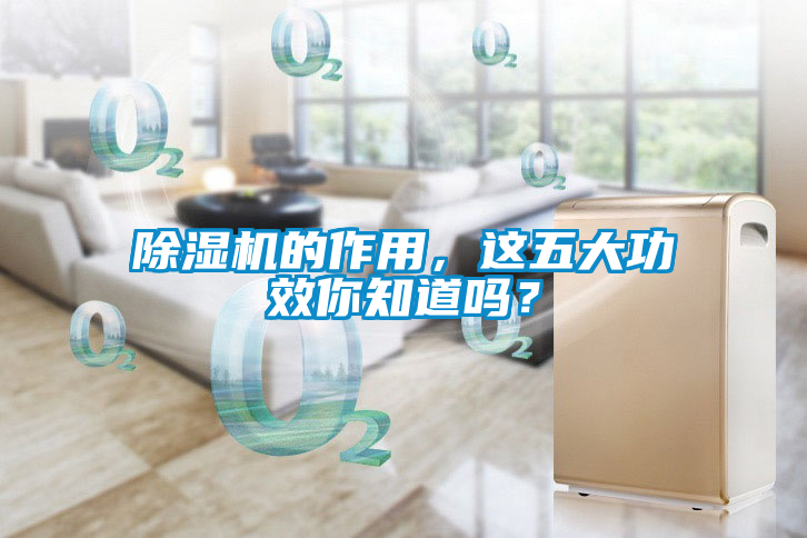 除濕機的作用，這五大功效你知道嗎？