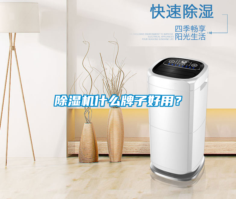 除濕機什么牌子好用？