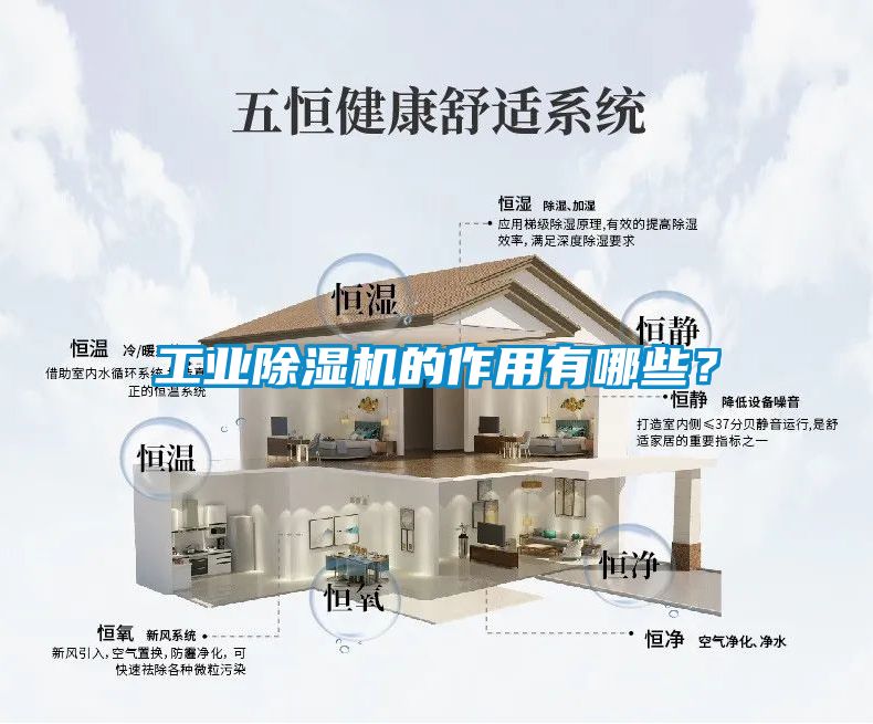 工業除濕機的作用有哪些？