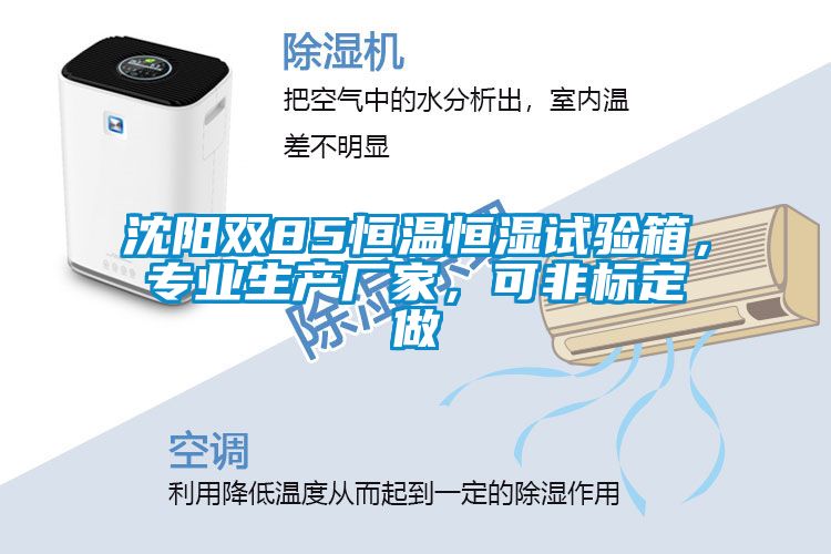 沈陽雙85恒溫恒濕試驗箱，專業生產廠家，可非標定做