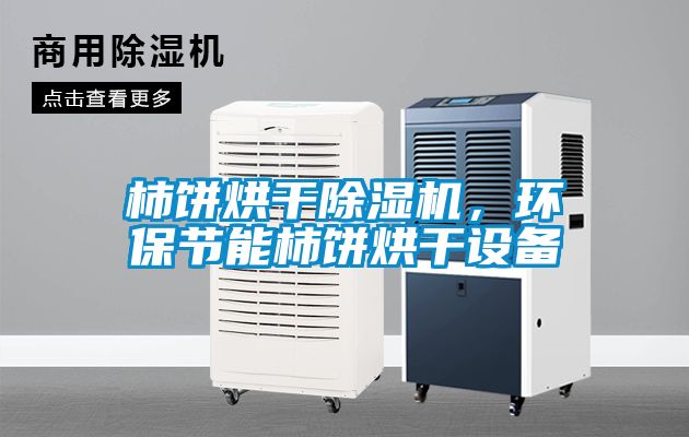 柿餅烘干除濕機，環保節能柿餅烘干設備